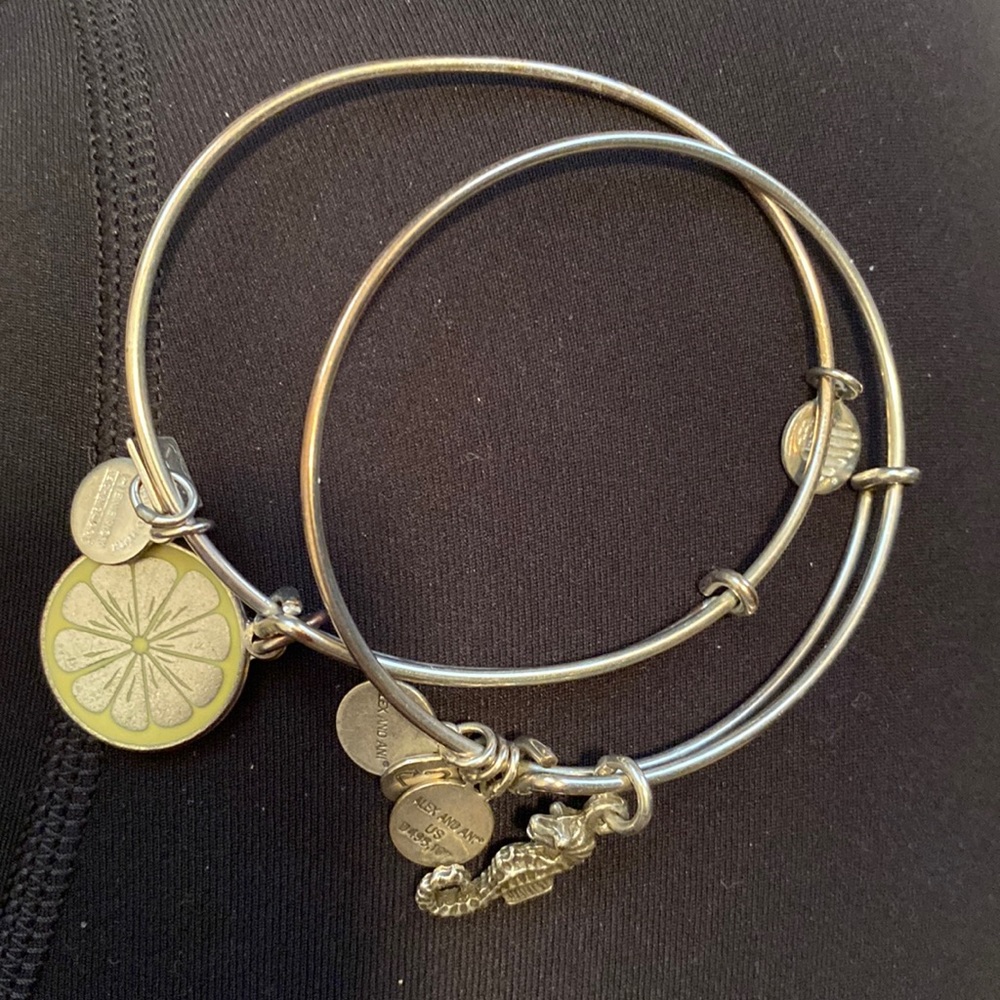 Alex and ani